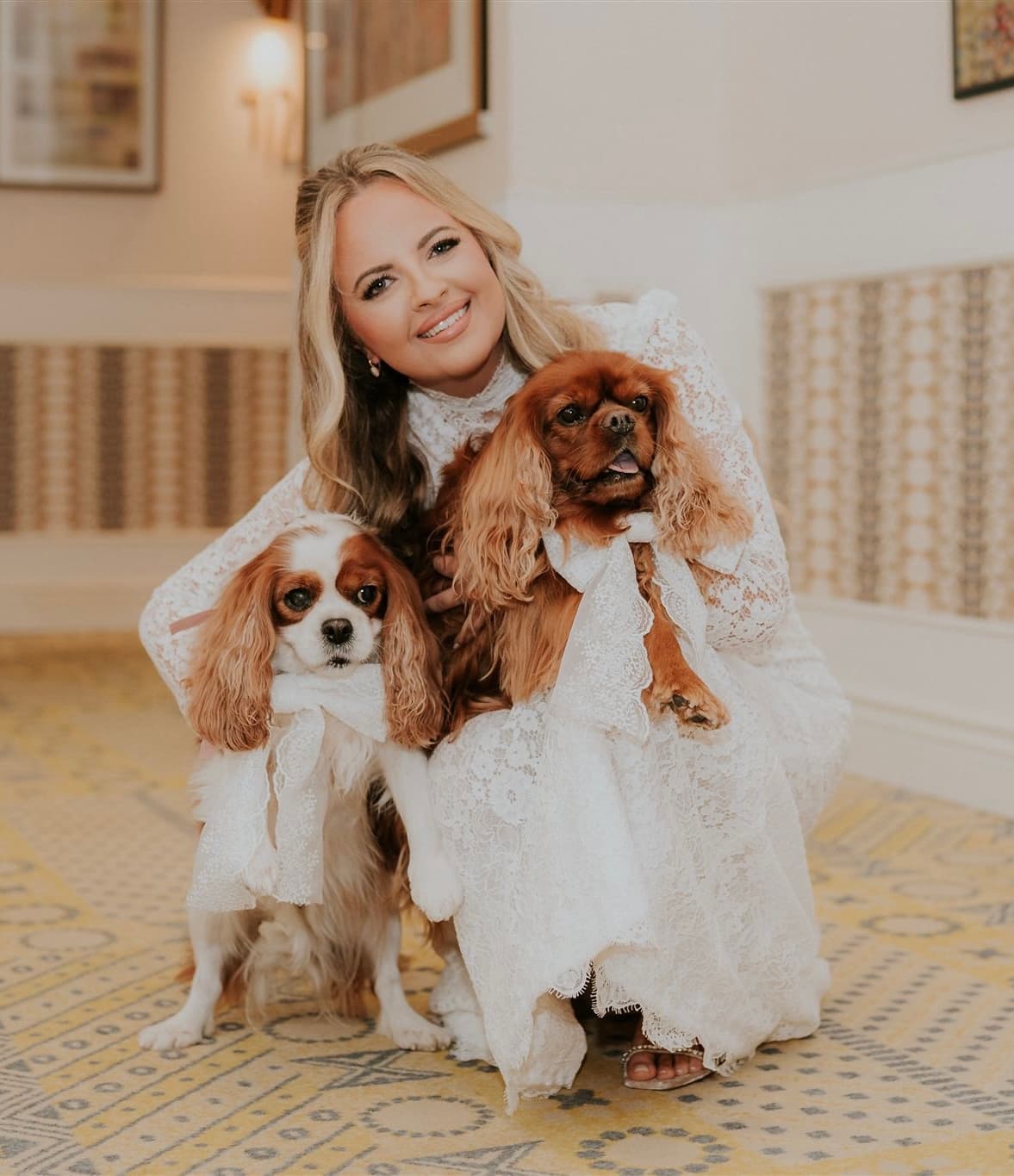 Cavalier King Charles